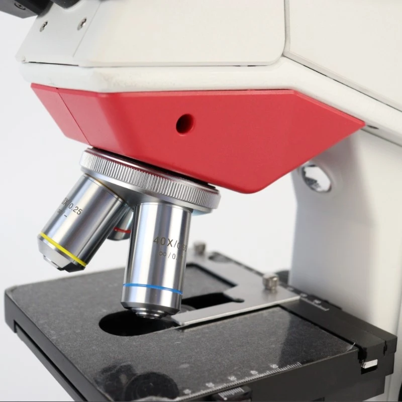 product-800-800